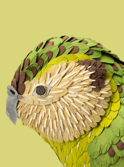 Portfolio Thumbnail